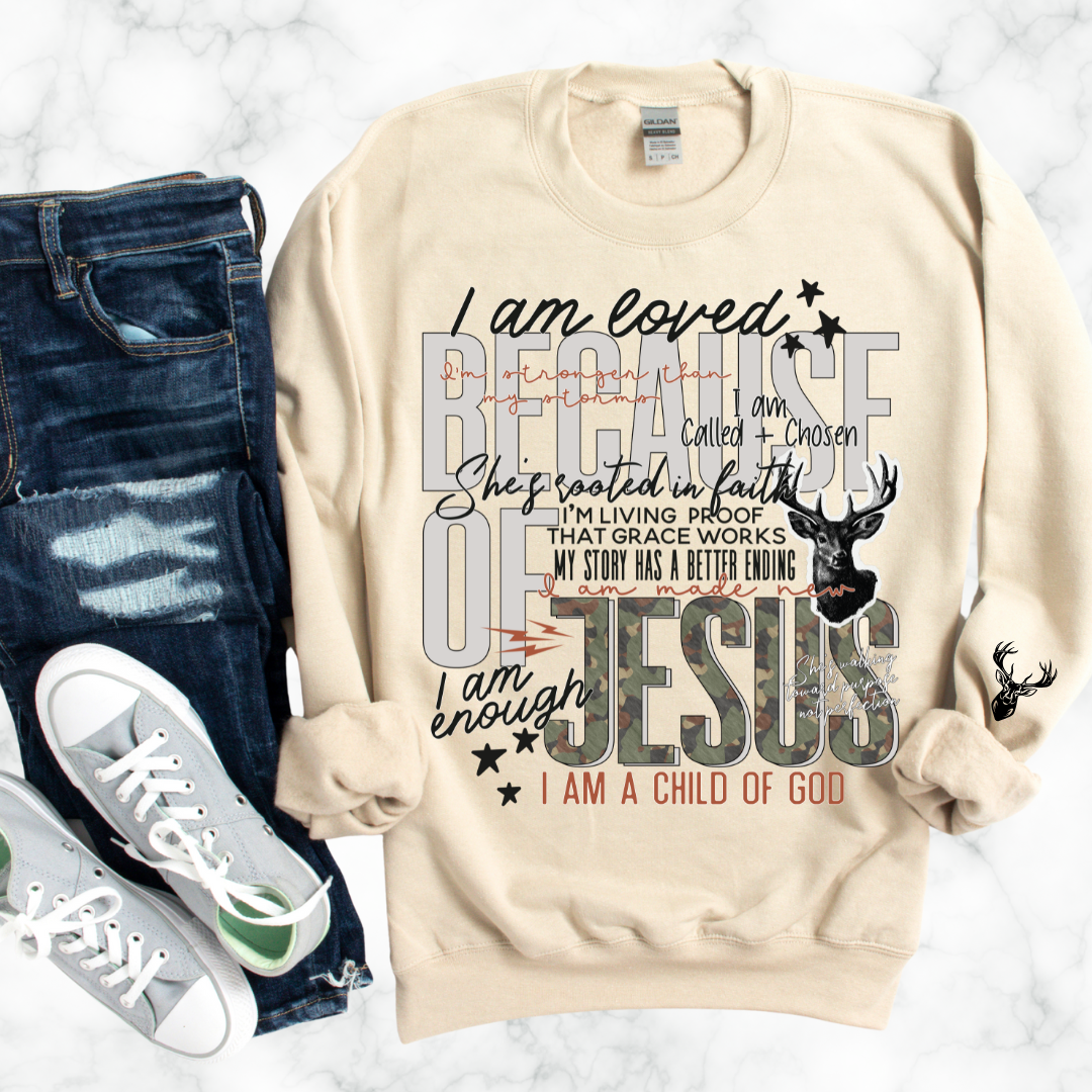 BECAUSE OF JESUS SWEATSHIRT