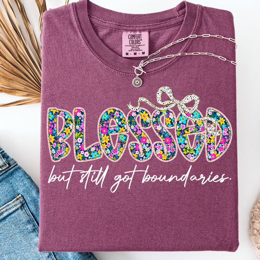 BLESSED WITH BOUNDARIES T-SHIRT