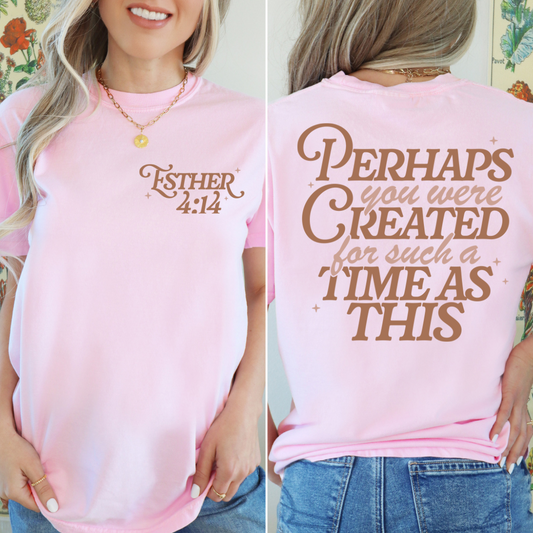 PERHAPS YOU WERE CREATED T-SHIRT